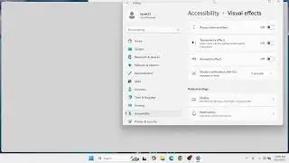How to Disable Transparency Effects & Animations on Windows 11