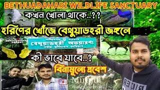 🌳Bethuadahari Forest One Day Tour😍| Hidden Wildlife Sanctuary of West Bengal | বেথুয়াডহরি অভয়ারণ্য