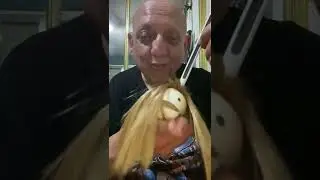 Iron Maiden The Trooper OTAMATONE