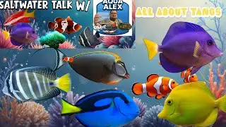 Saltwater Talk w/ Aqua Alex: All About Tangs