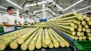 How Sugar Is Made &ndash; Unbelievable Billion Tons of Sugar Processing In Factory: an astonishing number!