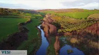 Anne Valley Forest Corridor