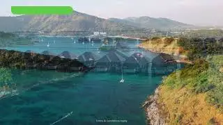 Tailor-made holidays