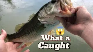 Unreal Deep Sea Catch &ndash; The Giant Fish No One Expected!