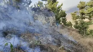 Forest Fires Rage in Kashmir | Another Blaze Engulfs Anantnag woods