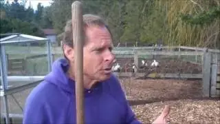 Our Visit To Paul Gautschi's Back To Eden Garden Part 1 Chickens - L2Survive with Thatnub