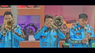 El Son De La Ravia / La Indestructible Banda Artilleros En VIVO!