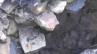 Call 4 Action: Penn Hills Neighborhood Overrun By Sinkholes
