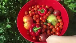 How to Build a Raised Bed Garden w/ Erica - Part 1