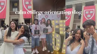 calm harvard orientation vlog