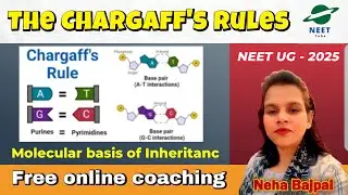 The Chargaff's Rules : Molecular Biology l Molecular basis of Inheritance l DNA Structure -Lec  05