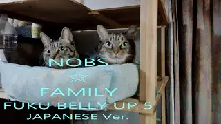 FUKU BELLY UP 5 Japanese Ver