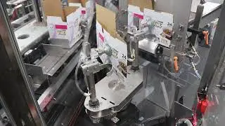 Nigrelli MSCV 100 Cartoner - Cans of Pet Food - BW Integrated Systems