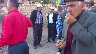 Kurban Bayram seyran siirt eruh Payamlı köyü