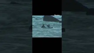 Surf Fight 🥊🏄&zwj;♂️ breaks out under The Golden Gate Bridge #fight #surfing #goldengate #california