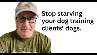Existential Feeding Is Not What The Gurus Say It Is. (Dog Training)