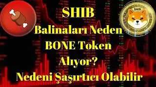 Kripto Sesli Haber | SHIB: Balinalar Neden BONE Token Alıyor? Nedeni Şaşırtıcı Olabilir