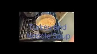 Turkey and Noodle Soup
