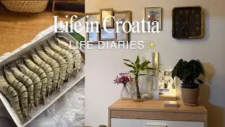 Living diaries | haul, cooking, working days, cozy days | Life of an introvert 