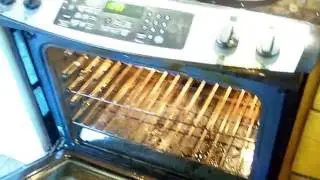 500 degree Cast Iron skillet roast