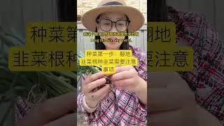 【种菜篇】翻地，种韭菜根 #garden #有机蔬菜 #堆肥 #樓頂菜園 #新鲜采摘
