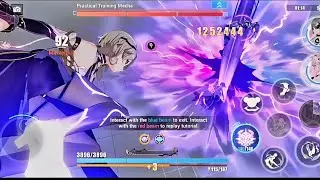 Honkai Impact 3rd - New Rita(Miss Espionage) Basic Team Cycle Tutorial Gameplay