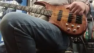 Carvin Icon 4 String Bass