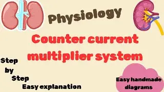 Counter Current Multiplier System | Loop Of Henle    | Human Physiology | Very Simplified . 