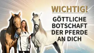 Wichtige Botschaft der Pferde! - Wie du durch die Kraft der Pferde in deine Freiheit gelangst