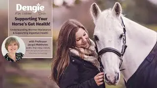 Understanding Wormer Resistance & Supporting Digestive Health in Horses