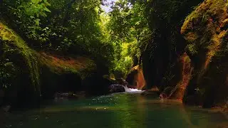 Too Relaxing for Words: Stream Flow & Gentle Birdsong for Meditation, Sleep, Stress Relief