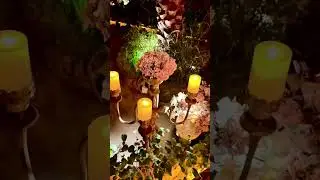 Most Beautiful Cafe in Madinah Best for Shisha and Food Front of Qubba Masjid