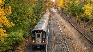 NYC Subway 5 trains on the Dyre Avenue line