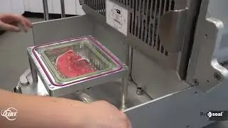 Proseal GTR Red Meat