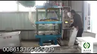 eps electrical packaging production line Линия по производству цветочных стручков EPS,