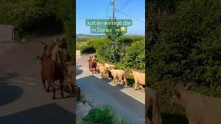 #viewfrommywindow