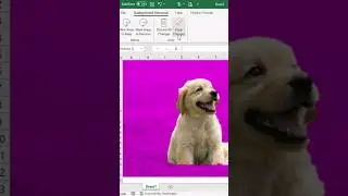 Remove background from image in excel🔥#shorts