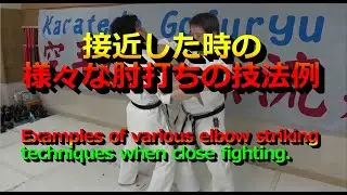 113th：Examples of various elbow striking techniques in close fighting.接近戦の様々な肘打ちの技法例