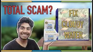 Evolution Aqua Aquarium Clarity BOMB Review! waste of money or worth it?
