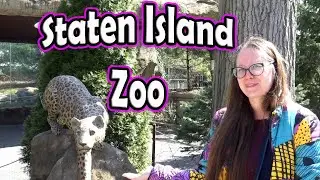 Staten Island Zoo - Up Close With Kangaroos & Foxes!!!