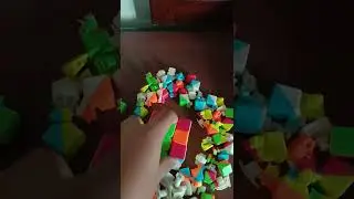 lol