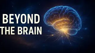 Beyond the Brain: Where the Real &ldquo;You&rdquo; Begins | Quantum Mind