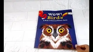 Wow: Birds