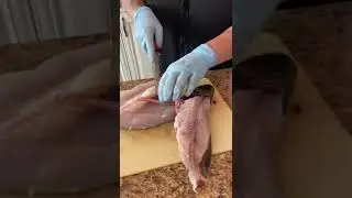 Comment couper un poisson Achigan