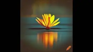 La fabrique des miracles exercice 3