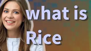 Rice | meaning of Rice