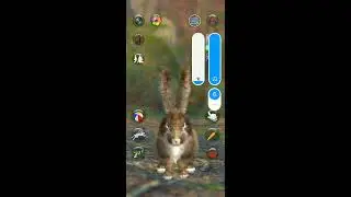 Talking Rabbit games play #1(4)
