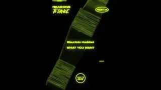 Mauricio Haddad - What You Want (Original Mix)