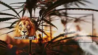 Živ&eacute; vysielanie použ&iacute;vateľa JUNGLE BOMBS
