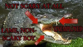 Why are people afraid of reptiles?
